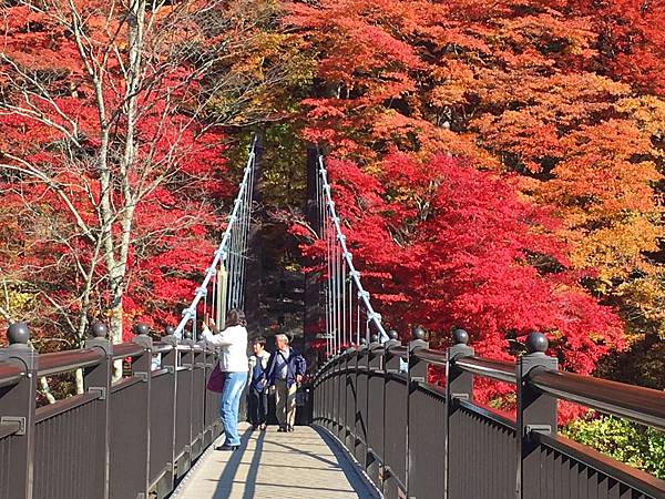 紅の吊橋