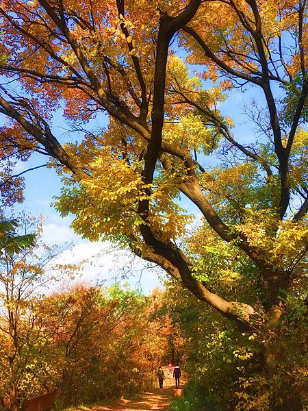 大邱 達城公園