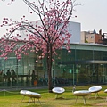 金澤 21世紀美術館