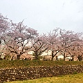 高山 宮川綠地公園