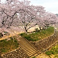 高山 宮川綠地公園