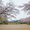 高山 宮川綠地公園