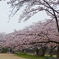 高山 宮川綠地公園