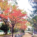 名古屋 名城公園