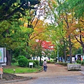 名古屋 名城公園