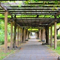 名古屋 名城公園