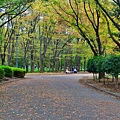 名古屋 名城公園
