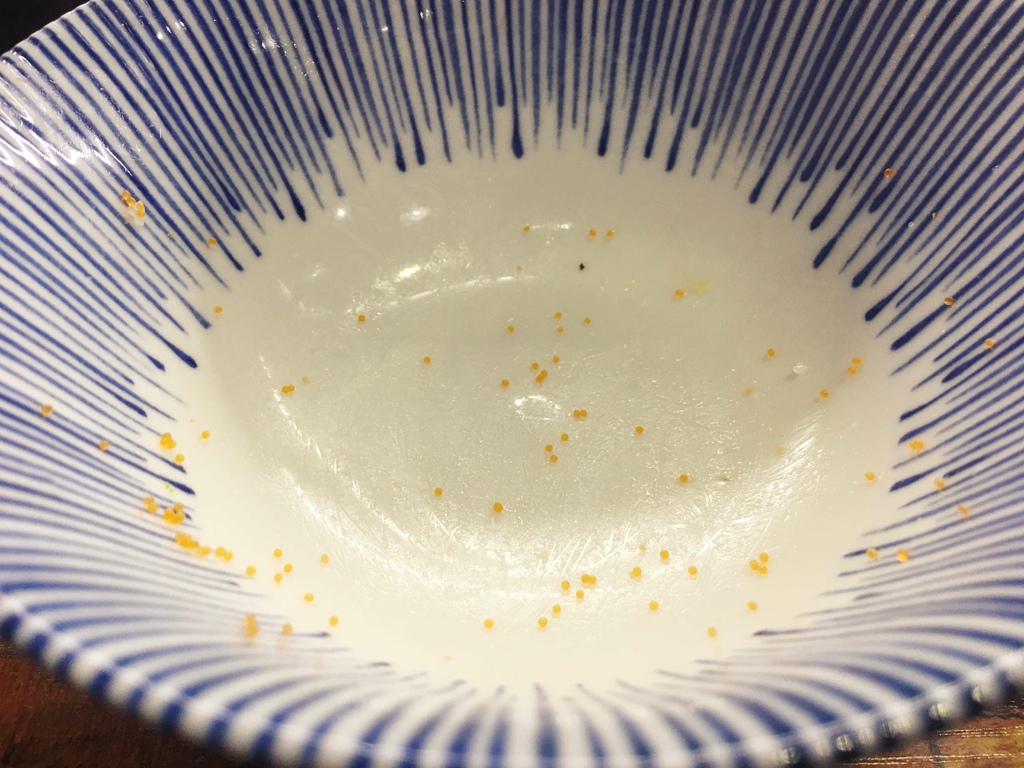 IMG_5196.JPG IMG_5196.JPG