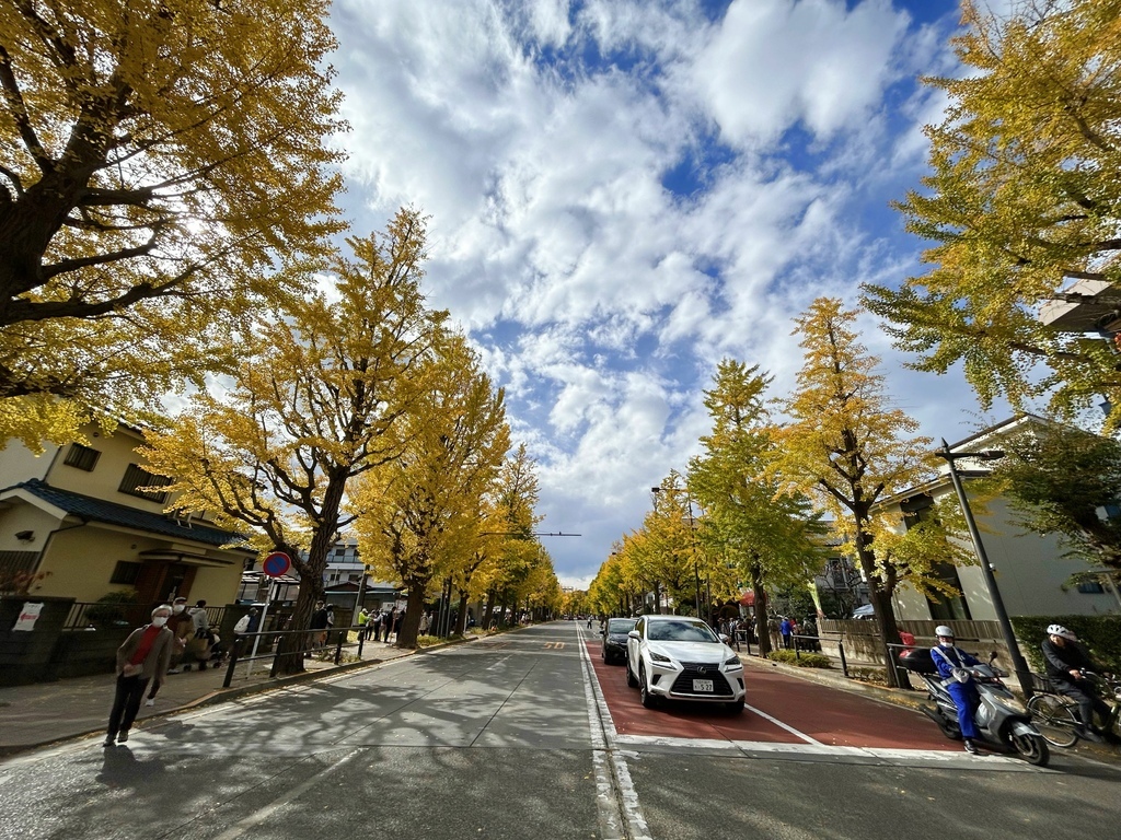 東京 西八王子 銀杏