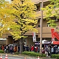 東京 八王子 銀杏祭