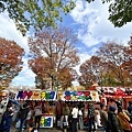 東京 八王子 銀杏祭