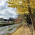 東京陵南公園