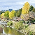 東京陵南公園