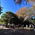 光が丘公園