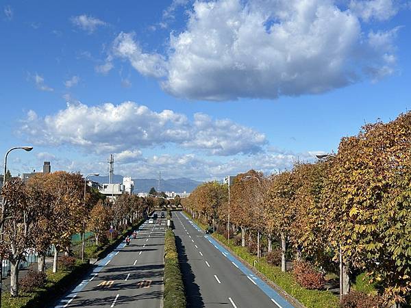 在不會犯錯的景點犯了錯@東京 國營昭和紀念公園