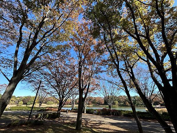 這個我不行@東京 國營昭和紀念公園