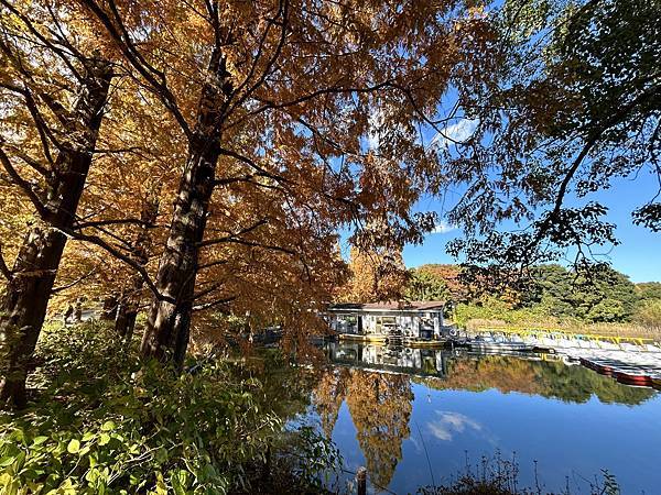 化妝後就是水@東京 國營昭和紀念公園