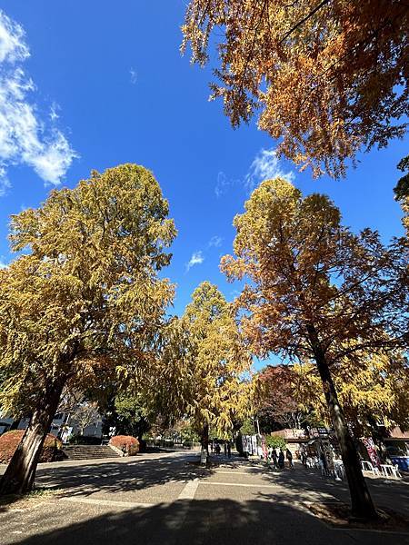 化妝後就是水@東京 國營昭和紀念公園