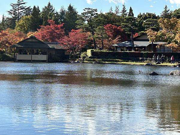 東京的紅葉景點@東京 國營昭和紀念公園