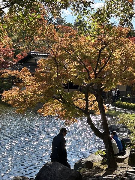 東京的紅葉景點@東京 國營昭和紀念公園