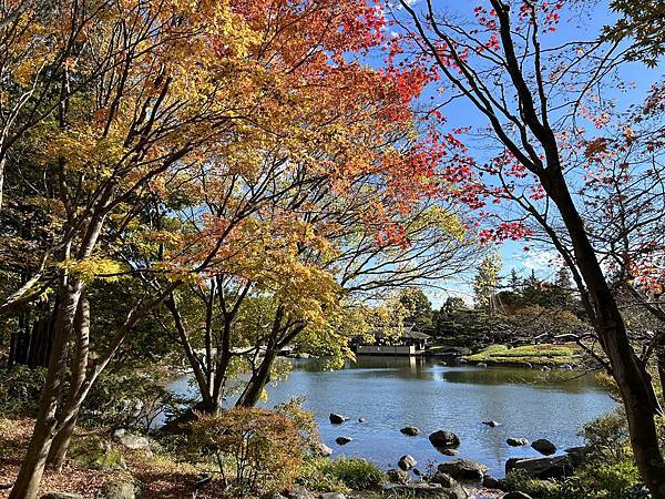 東京的紅葉景點@東京 國營昭和紀念公園