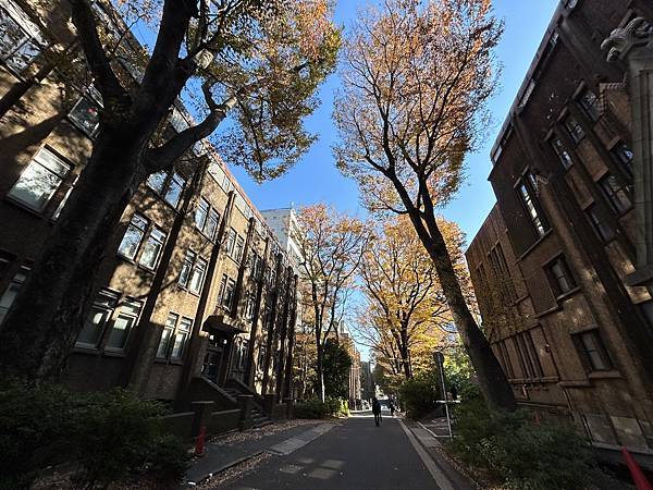 青筍筍的心情@東京 東京大學