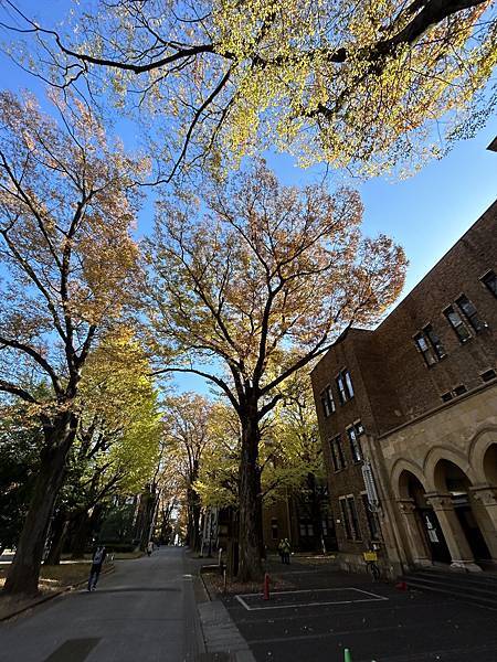 青筍筍的心情@東京 東京大學