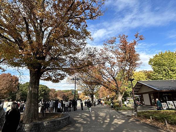 不算太黃@東京 上野公園