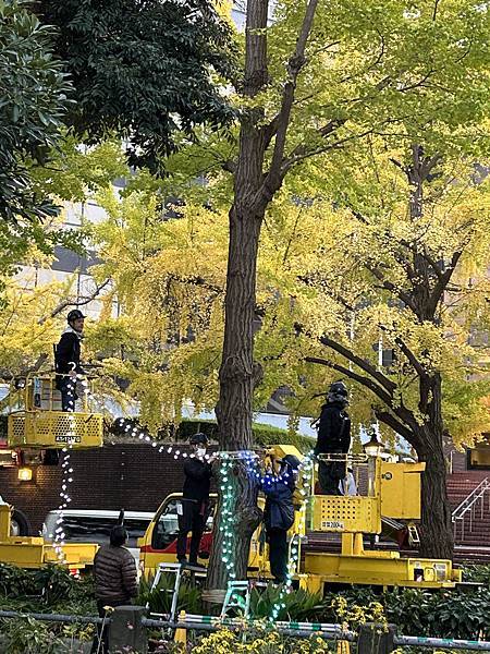 時間不太對@横濱 日本大通