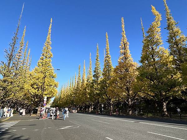 八字不合@東京 明治神宮外苑