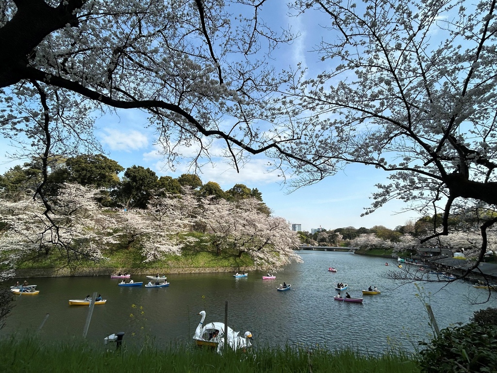 變心了@東京 千鳥之淵 變心了@東京 千鳥之淵
