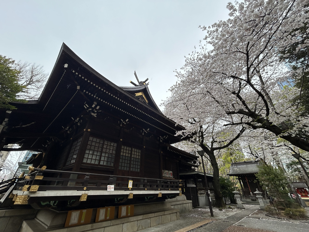 白色的鳥居@新宿中央公園 熊野神社