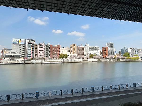 只想靜靜的結束@東京 隅田川公園