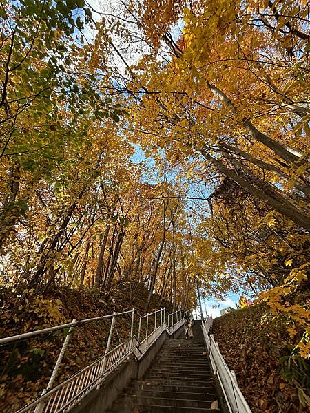 山上走下來的是什麼？@札幌 真駒內站前