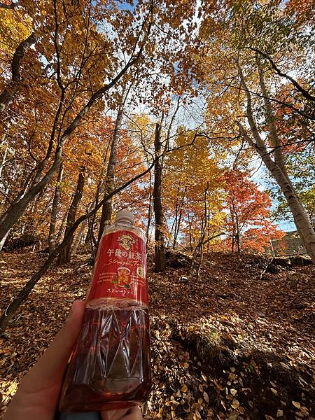 大事不妙@札幌 真駒內公園