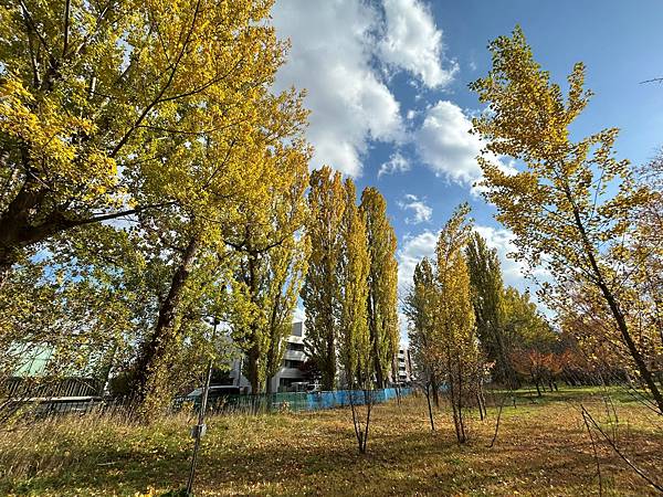 難以脫身@札幌 真駒內公園