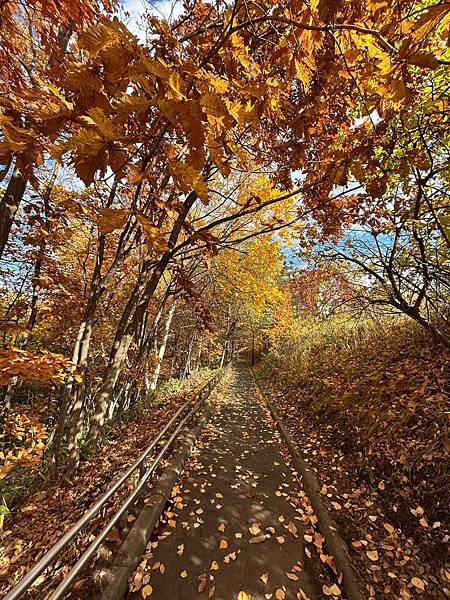 妳擁有我最多的表白@札幌 真駒內公園