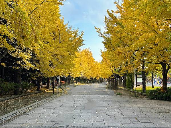 太好拍了@札幌 中島公園