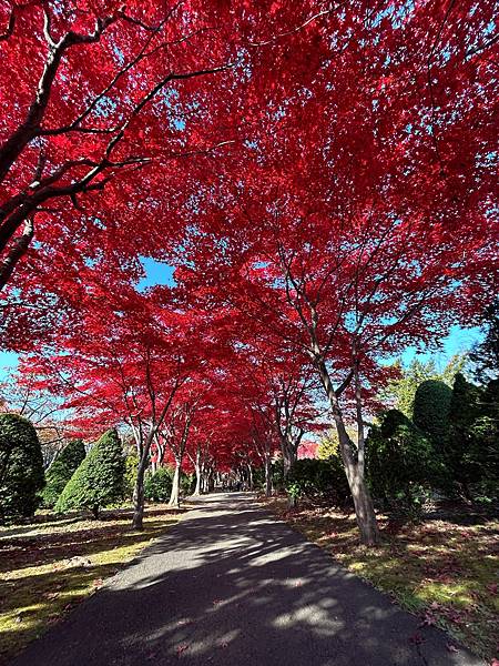 妳最紅@札幌 平岡樹藝中心