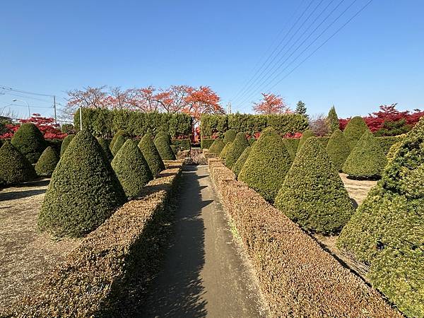 妳最紅@札幌 平岡樹藝中心 妳最紅@札幌 平岡樹藝中心