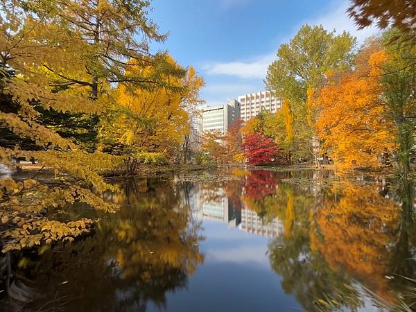 見色忘食@札幌 北海道廳本廳社 見色忘食@札幌 北海道廳本廳社