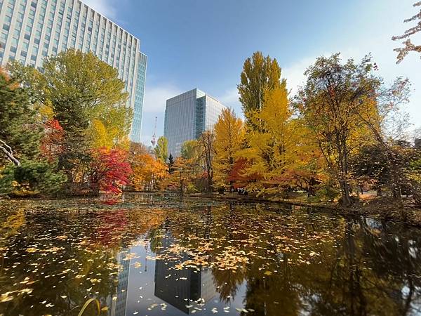 見色忘食@札幌 北海道廳本廳社 見色忘食@札幌 北海道廳本廳社