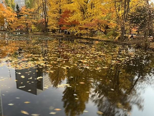 見色忘食@札幌 北海道廳本廳社 見色忘食@札幌 北海道廳本廳社