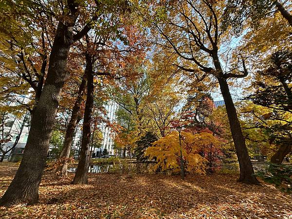 見色忘食@札幌 北海道廳本廳社 見色忘食@札幌 北海道廳本廳社