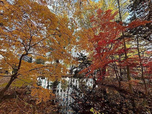 見色忘食@札幌 北海道廳本廳社 見色忘食@札幌 北海道廳本廳社