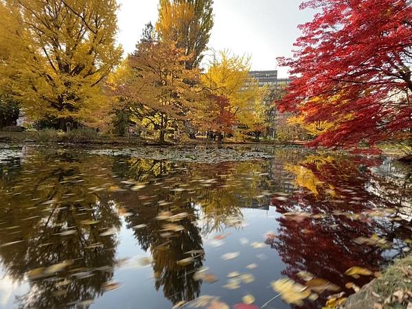 見色忘食@札幌 北海道廳本廳社