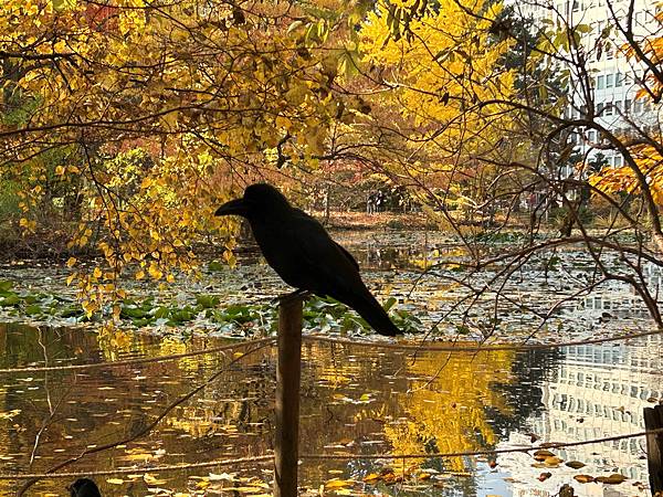 見色忘食@札幌 北海道廳本廳社