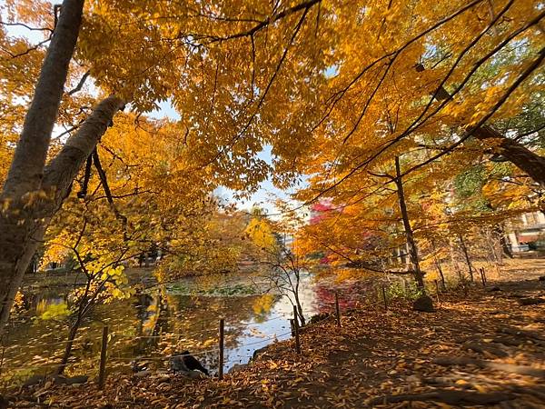 見色忘食@札幌 北海道廳本廳社 見色忘食@札幌 北海道廳本廳社