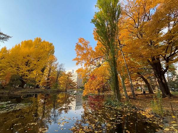 見色忘食@札幌 北海道廳本廳社