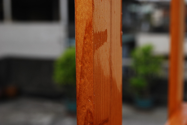DSC_1567.JPG